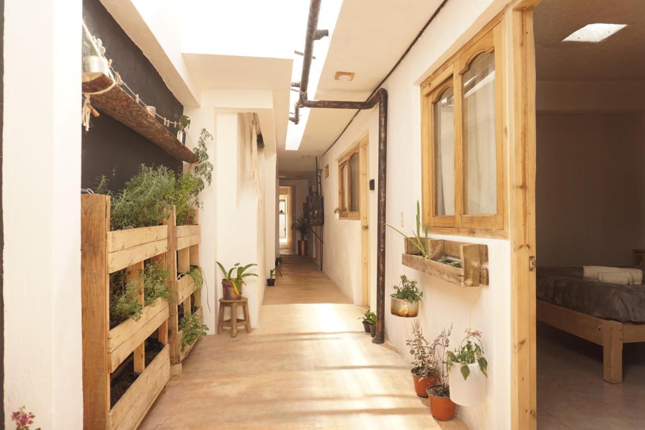 Hostel Boutique 55 Сан-Кристобаль-де-Ла-Касас Экстерьер фото